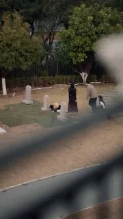 你若星河，我似尘埃