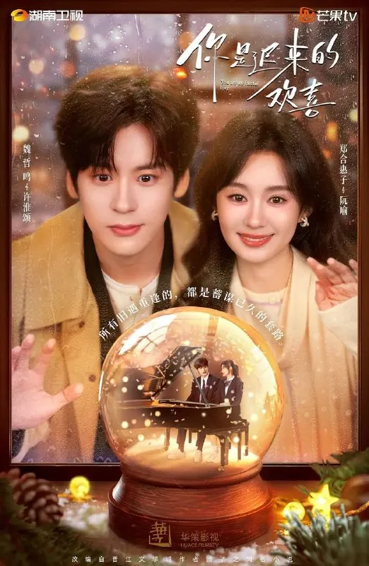 你是迟来的欢喜