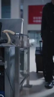 都市豪仙，这个赘婿有点无敌