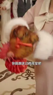 少惹霍太太，后果你扛不住