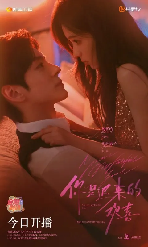 你是迟来的欢喜